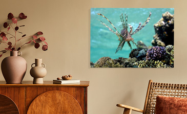 Visualisation du produit