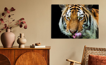 Visualisation du produit