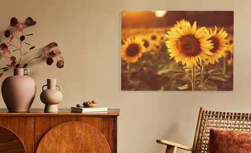 Visualisation du produit