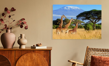 Visualisation du produit