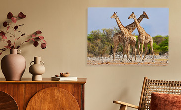 Visualisation du produit