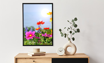 Visualisation du produit