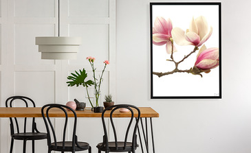 Visualisation du produit