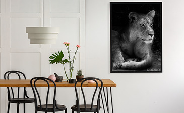 Visualisation du produit