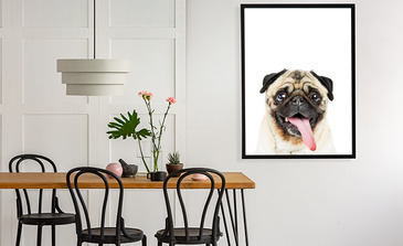 Visualisation du produit