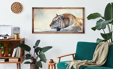 Visualisation du produit