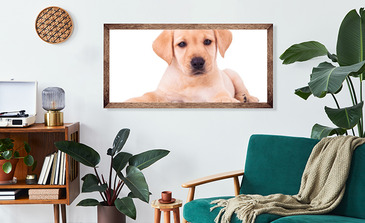 Visualisation du produit