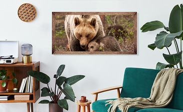 Visualisation du produit