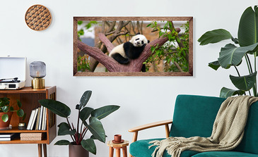 Visualisation du produit