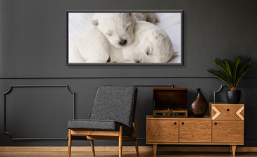 Visualisation du produit