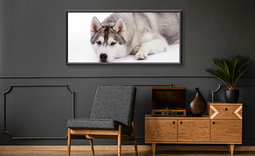 Visualisation du produit