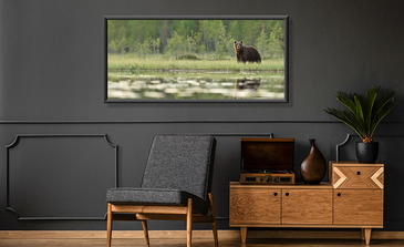 Visualisation du produit