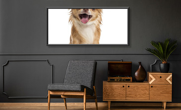 Visualisation du produit