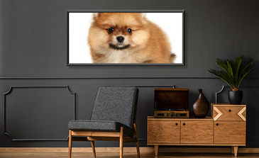 Visualisation du produit