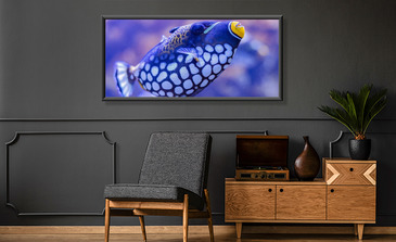 Visualisation du produit