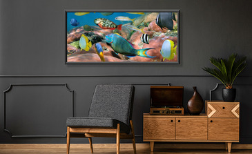 Visualisation du produit