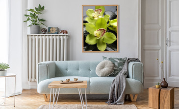 Visualisation du produit