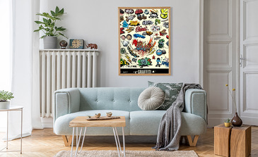 Visualisation du produit