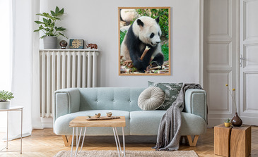 Visualisation du produit