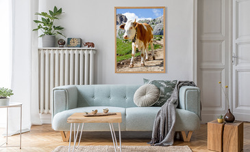 Visualisation du produit