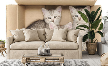 Visualisatie van het product