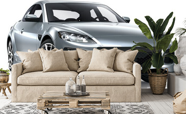 Visualisatie van het product