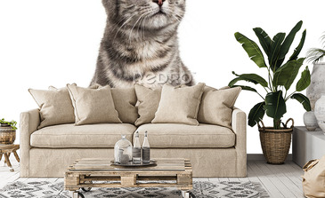 Visualisatie van het product