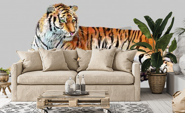 Visualisatie van het product