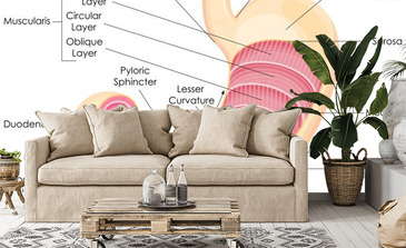 Visualisatie van het product