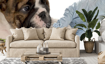 Visualisatie van het product