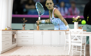 Visualisatie van het product