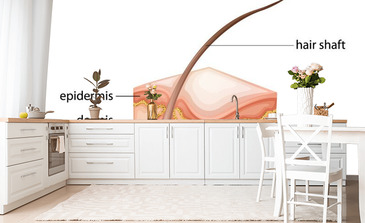 Visualisatie van het product