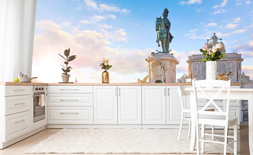 Visualisatie van het product