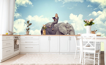 Visualisatie van het product