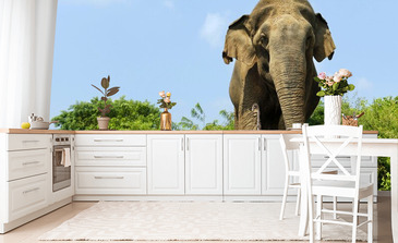 Visualisatie van het product