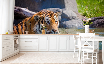 Visualisatie van het product