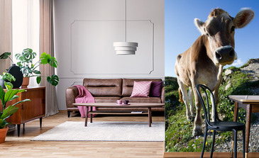 Visualisatie van het product