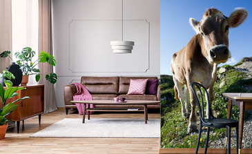 Visualisatie van het product