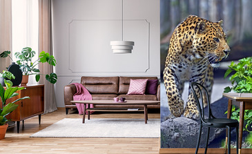 Visualisatie van het product