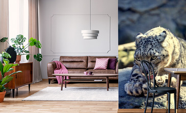 Visualisatie van het product