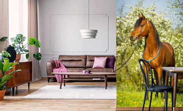 Visualisatie van het product