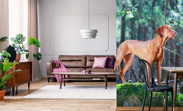 Visualisatie van het product