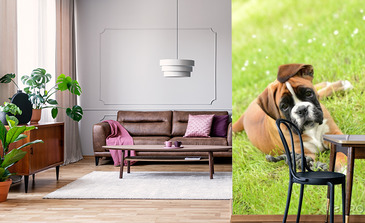 Visualisatie van het product