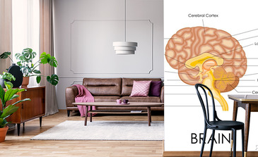 Visualisatie van het product