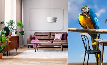 Visualisatie van het product