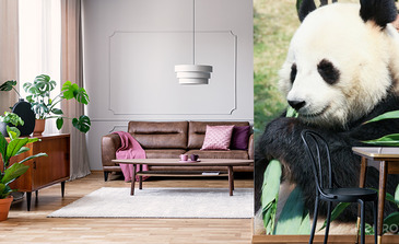 Visualisatie van het product