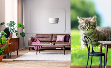 Visualisatie van het product