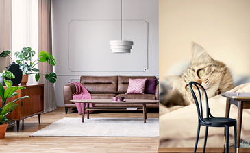 Visualisatie van het product