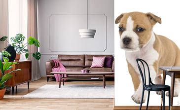 Visualisatie van het product