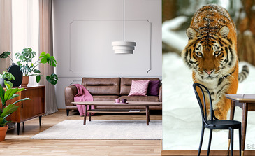 Visualisatie van het product